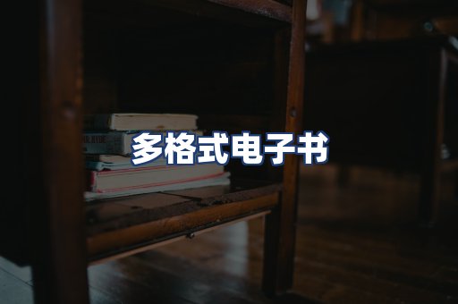 多格式电子书